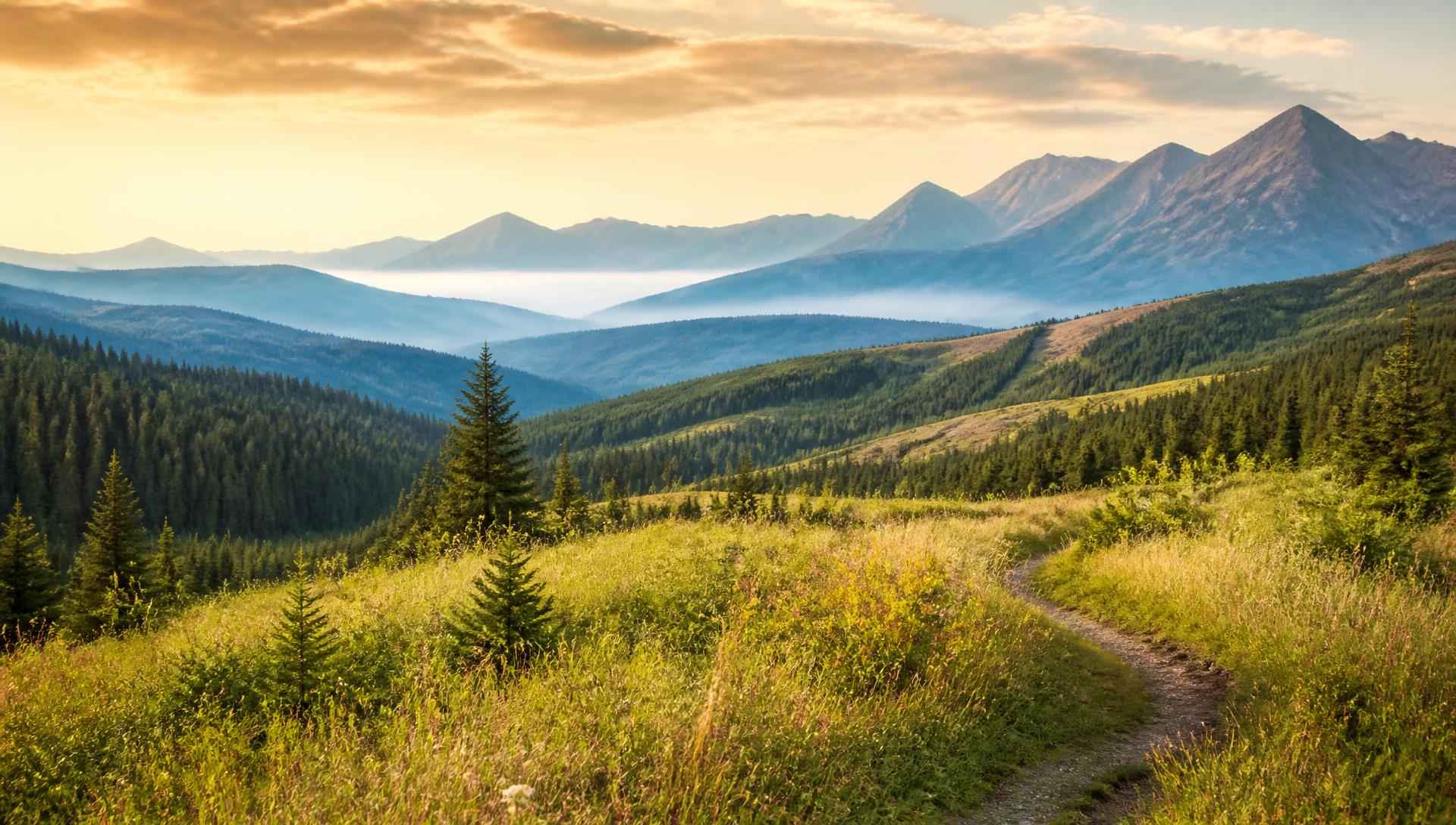 Rolling Alberta foothills in warm morning light with mountains behind